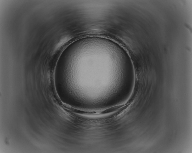 X0000097751402200803071238