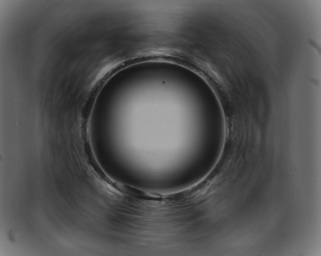 X0000097751404200803071238