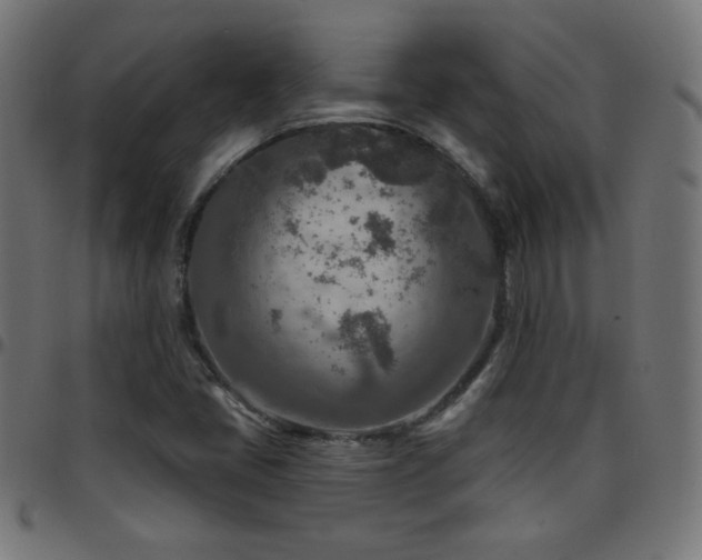 X0000097751405200803071238