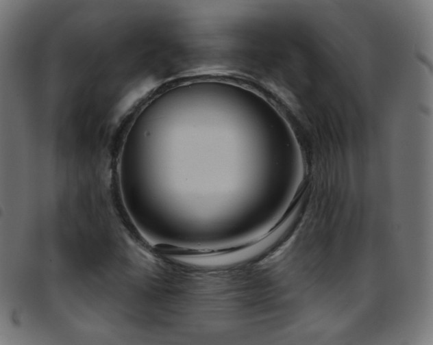 X0000097751406200803071238