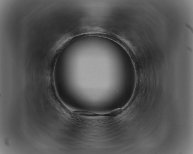 X0000097751407200803071238