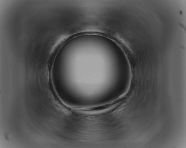 X0000097751408200803071238