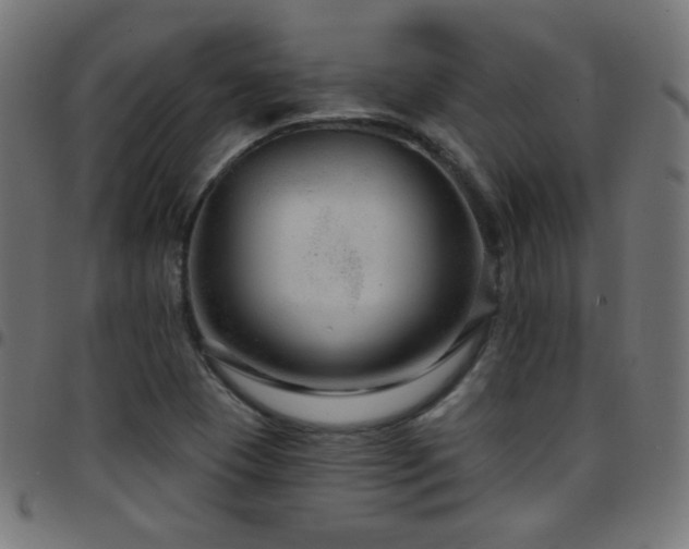 X0000097751409200803071238