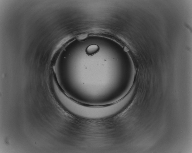 X0000097751410200803071238