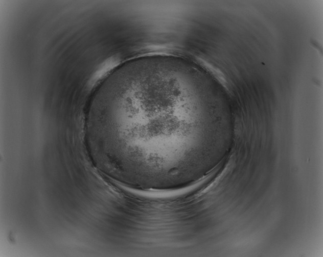X0000097751411200803071238