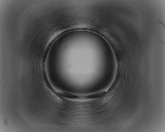 X0000097751412200803071238
