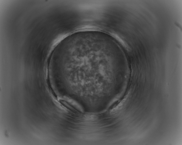 X0000097751413200803071238