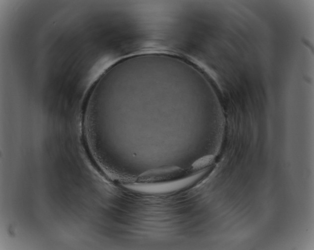 X0000097751415200803071238
