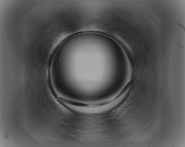 X0000097751416200803071238