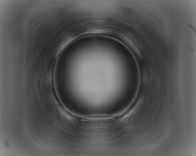 X0000097751417200803071238