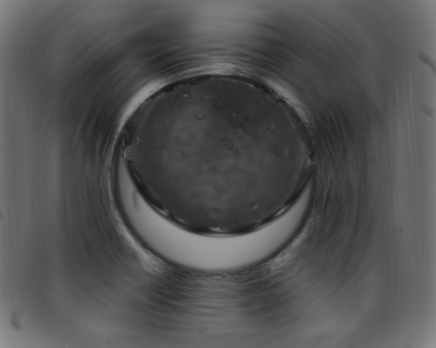 X0000097751418200803071238