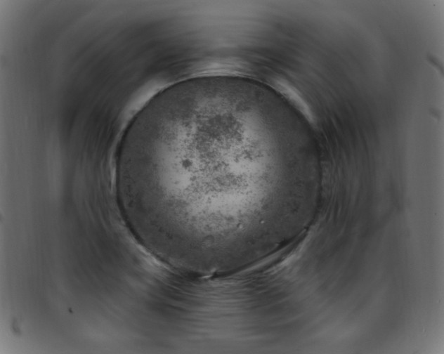 X0000097751419200803071238