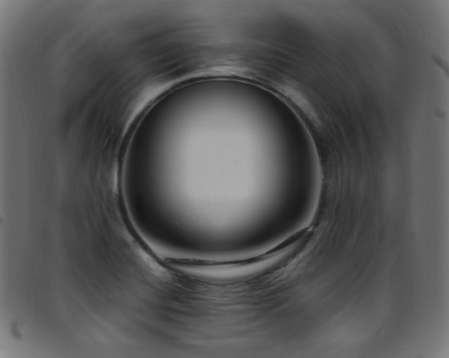 X0000097751420200803071238