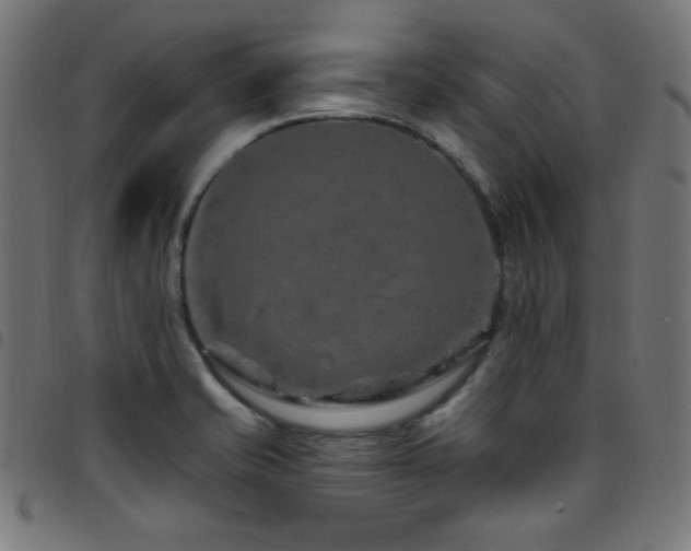 X0000097751421200803071238