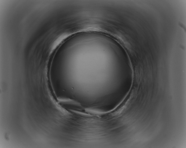 X0000097751422200803071238