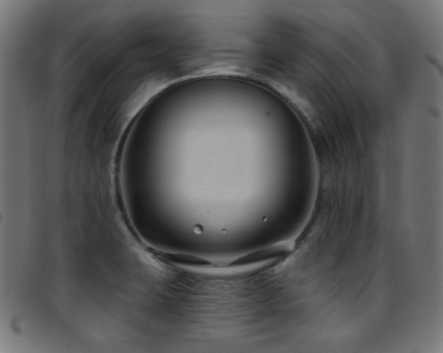 X0000097751423200803071238