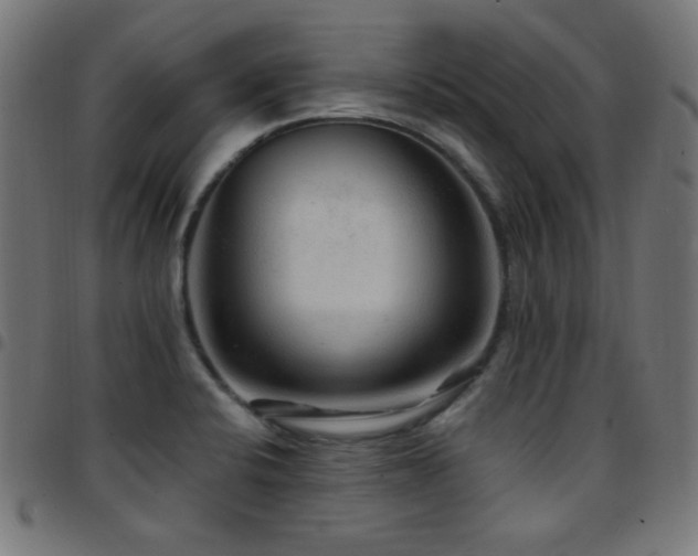 X0000097751424200803071238