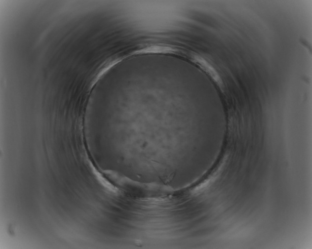 X0000097751425200803071238