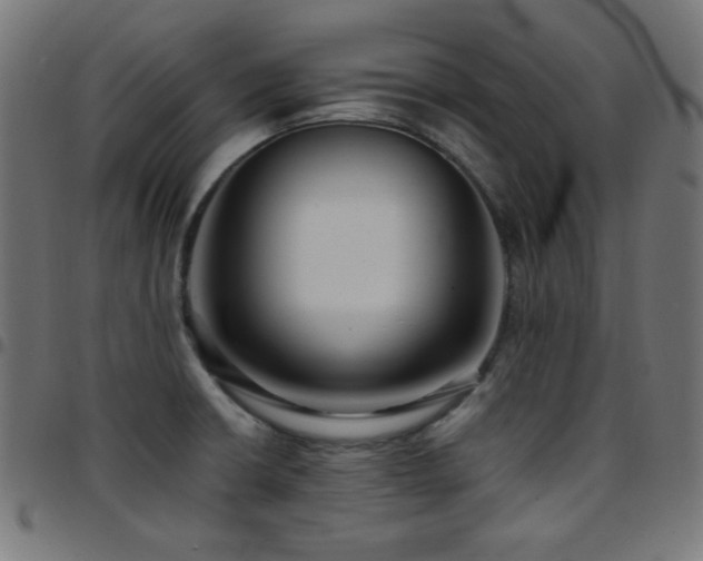 X0000097751426200803071238