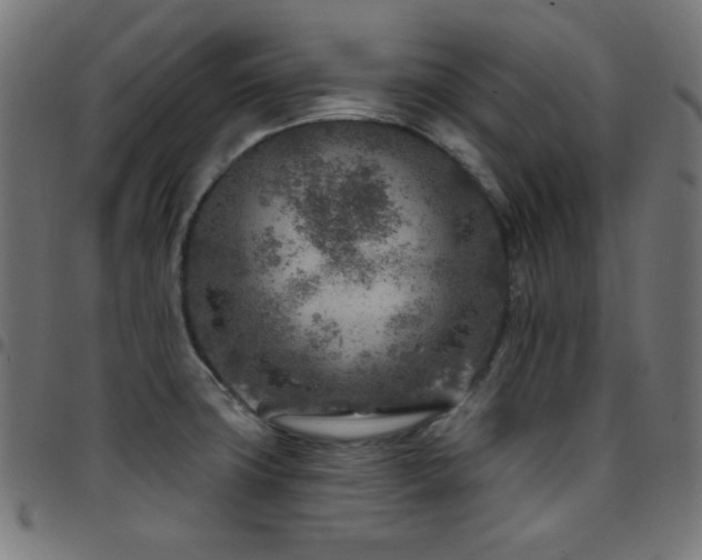 X0000097751427200803071238