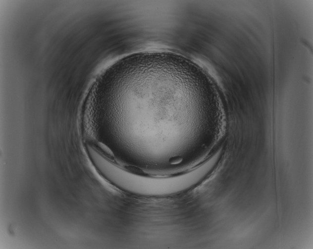 X0000097751429200803071238