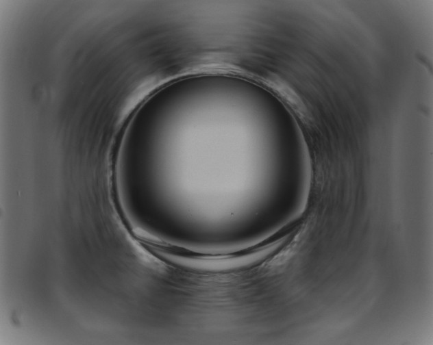 X0000097751430200803071238