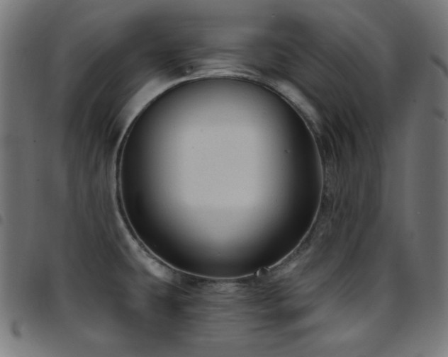 X0000097751431200803071238