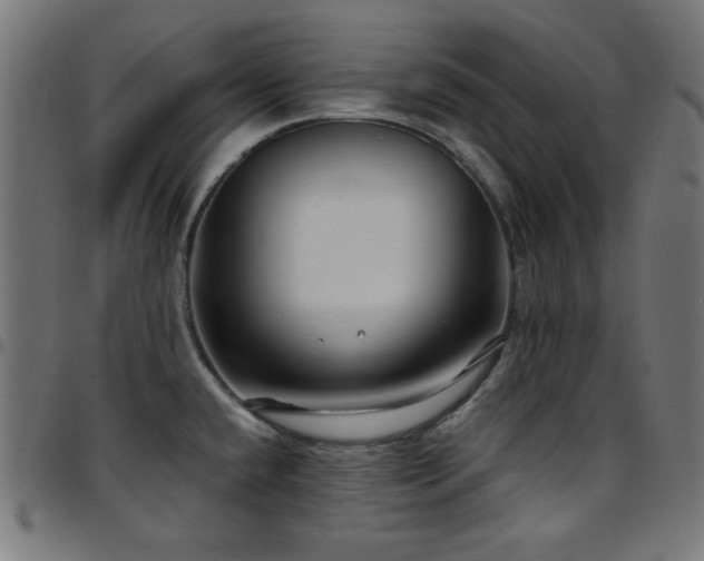 X0000097751432200803071238