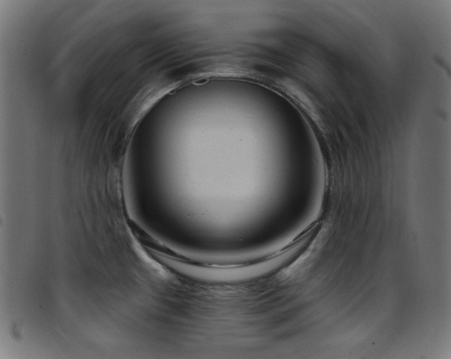 X0000097751433200803071238
