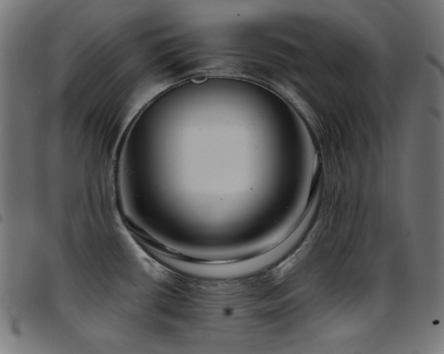 X0000097751434200803071238