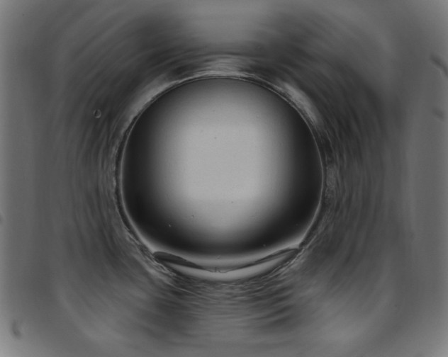 X0000097751435200803071238
