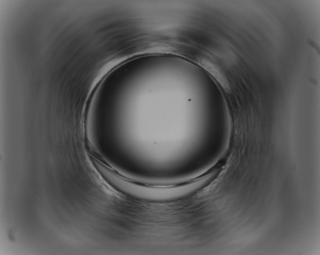 X0000097751436200803071238