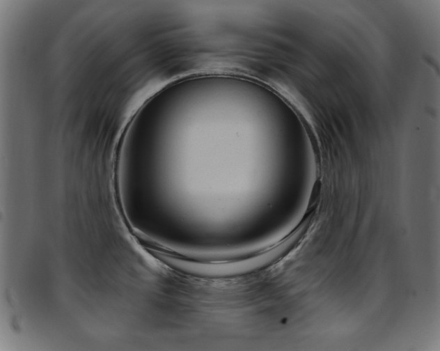 X0000097751437200803071238