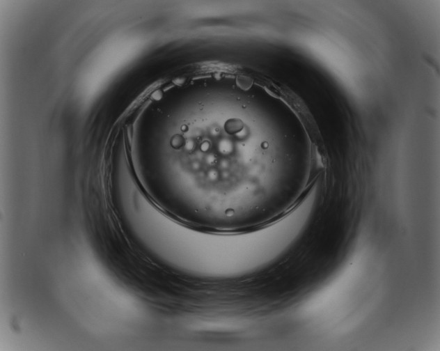 X0000097751438200803071238