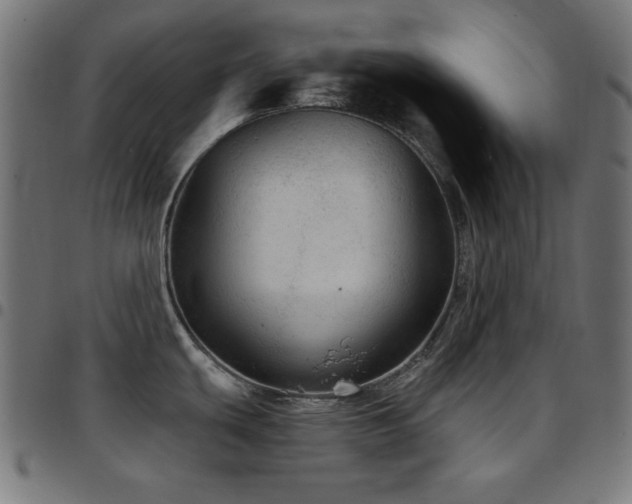 X0000097751439200803071238