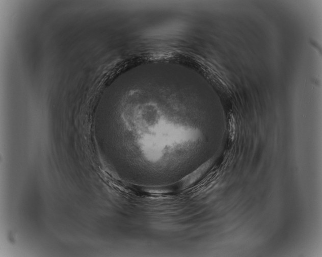 X0000097751441200803071237