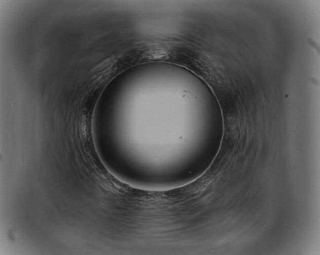 X0000097751442200803071237