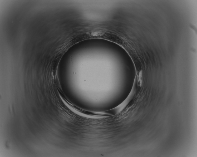 X0000097751443200803071237