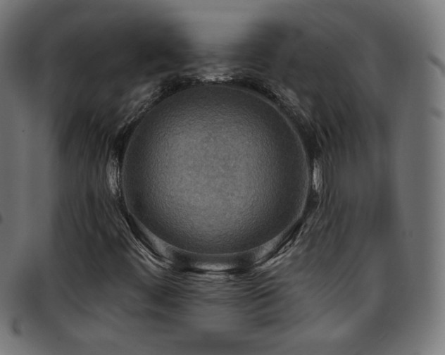 X0000097751444200803071237