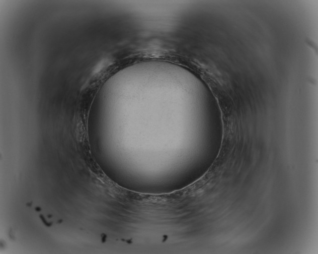 X0000097751446200803071237