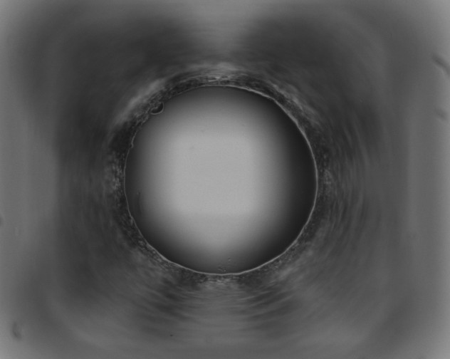 X0000097751447200803071237