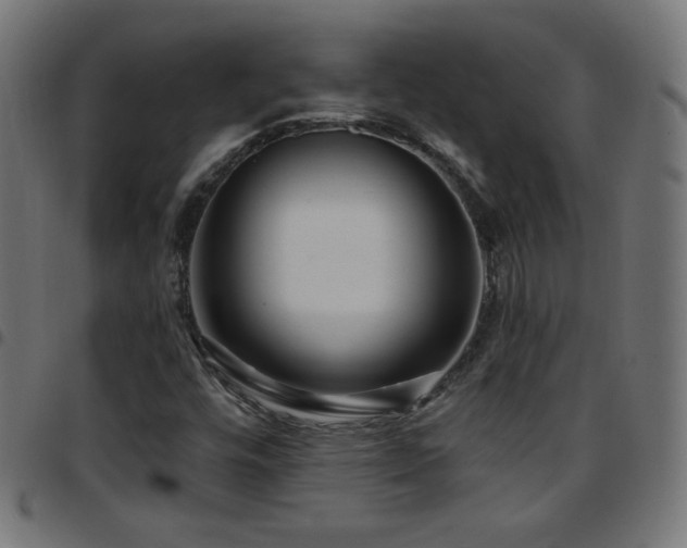 X0000097751448200803071237