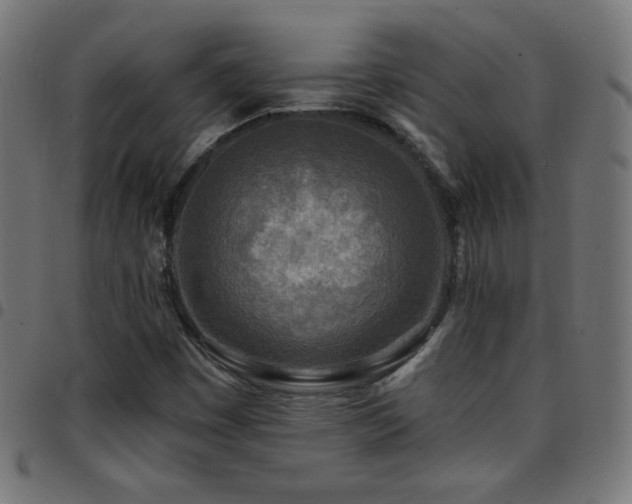 X0000097751449200803071237