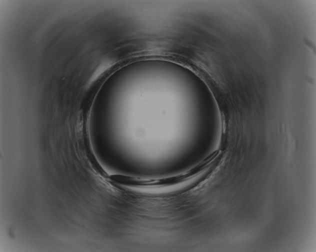 X0000097751450200803071237