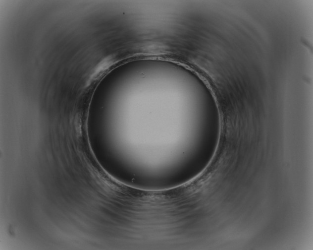 X0000097751451200803071237