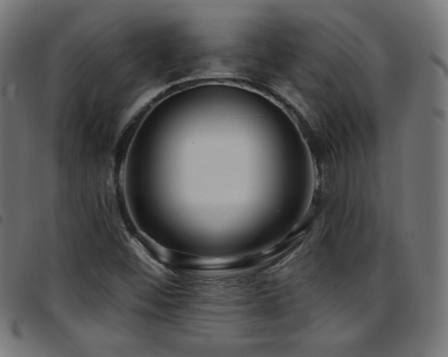 X0000097751452200803071237