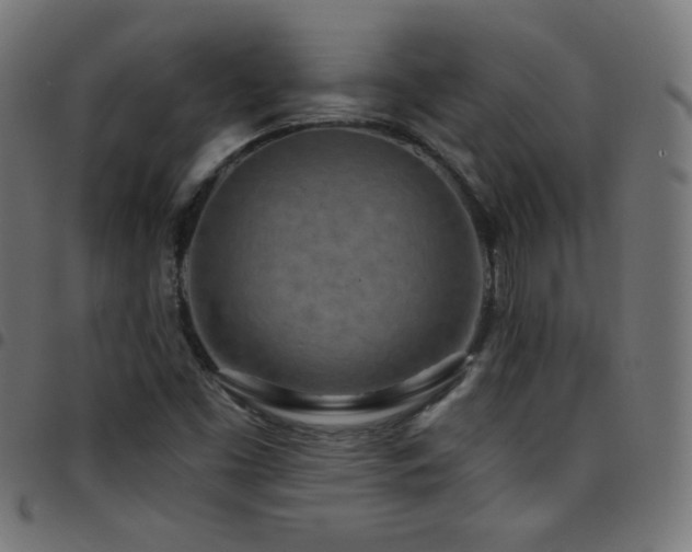 X0000097751453200803071237