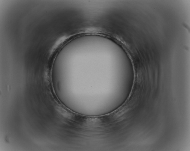 X0000097751454200803071237
