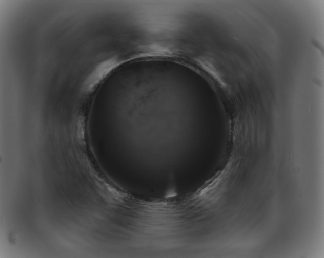X0000097751455200803071237