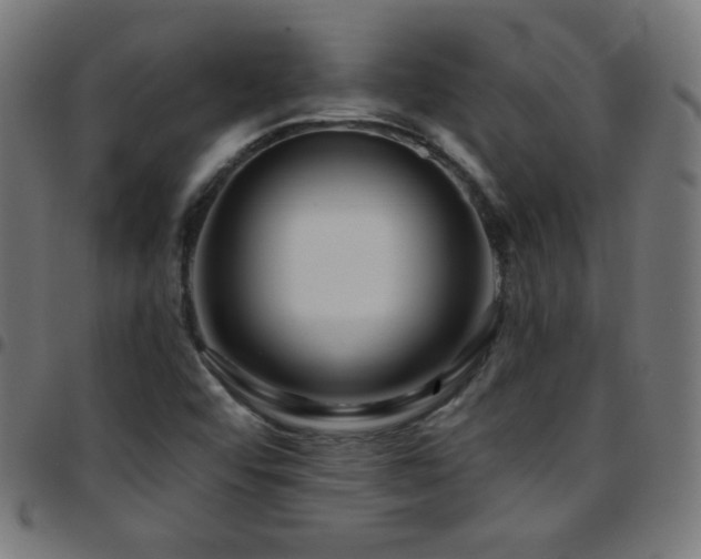 X0000097751456200803071237